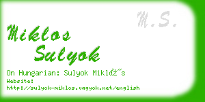 miklos sulyok business card